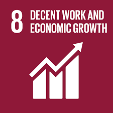 SDG8 Decent Work and Economic Growth